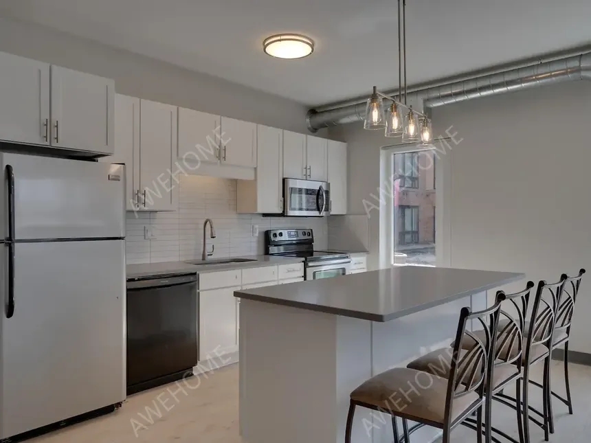 明尼阿波利斯租房Minneapolis 412 Lofts