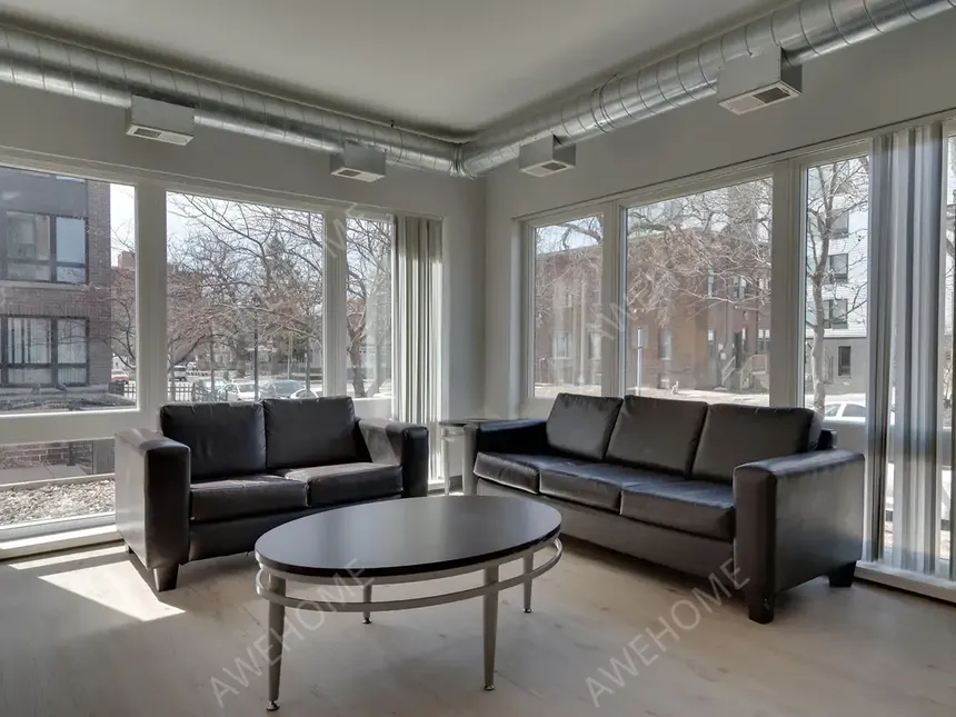 明尼阿波利斯租房Minneapolis 412 Lofts