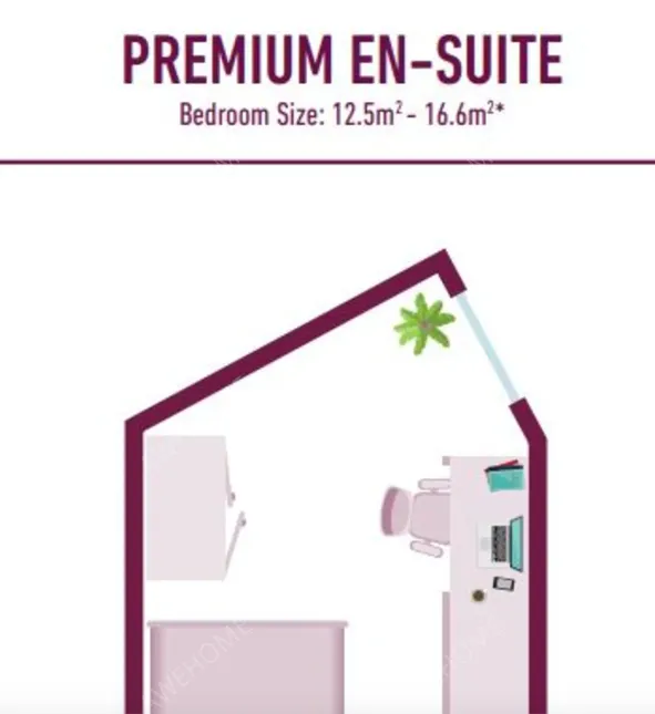 法爾茅斯租房The Quarry Student Accommodation