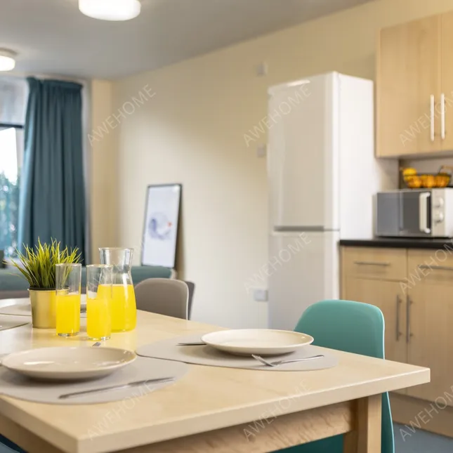 紐波特租房Newport Student Village
