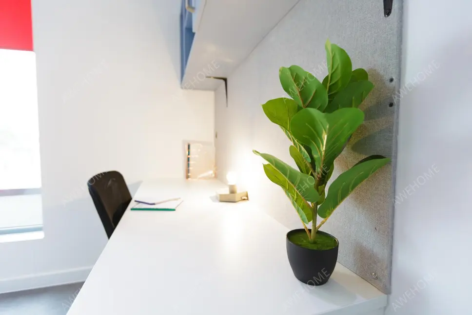 LondonSingle Apartment Rentals[Single Apartment]AXO New Cross