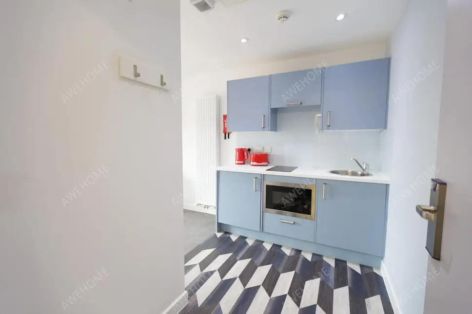 LondonSingle Apartment Rentals[Single Apartment]AXO New Cross