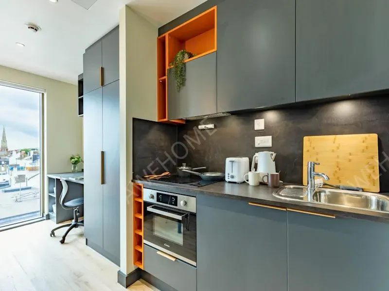 布萊頓租房Crown House Brighton