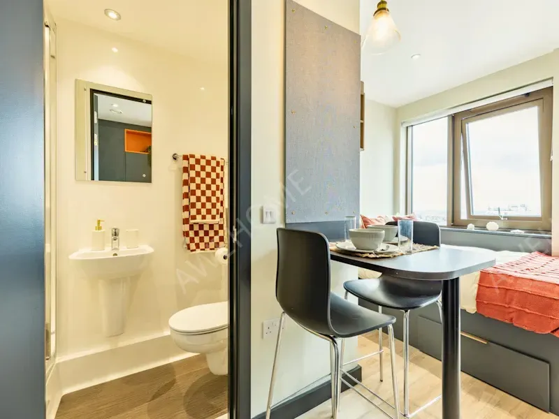 布萊頓租房Crown House Brighton