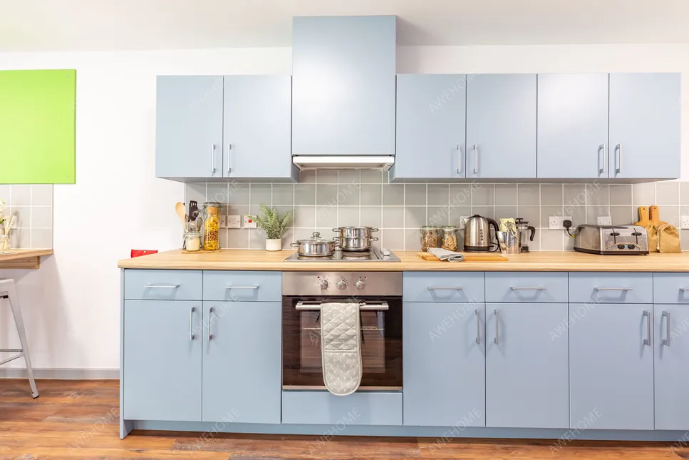 紐卡斯爾租房Bryson Court