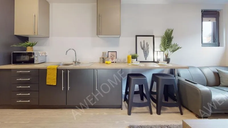 謝菲爾德租房iQ Steel