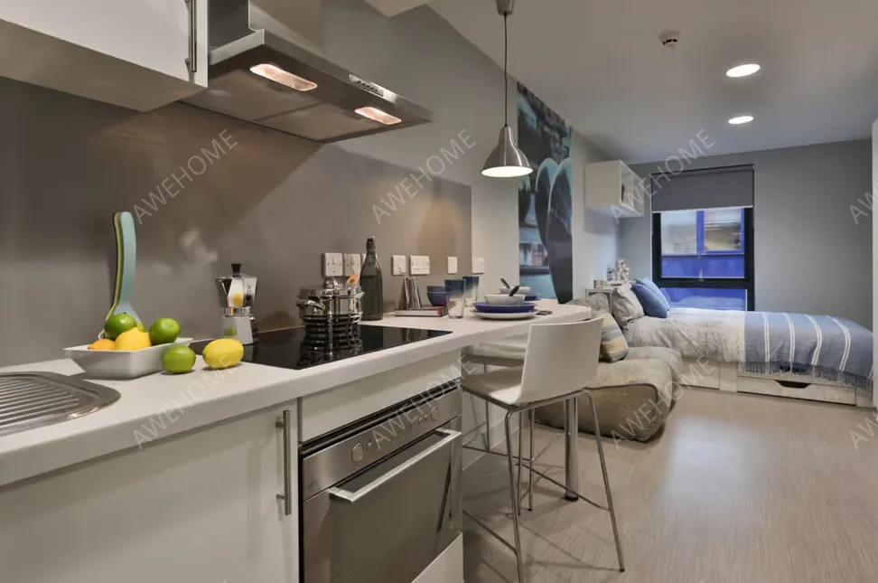 謝菲爾德租房Portobello House