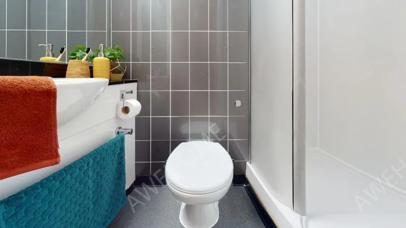 謝菲爾德租房iQ Steel