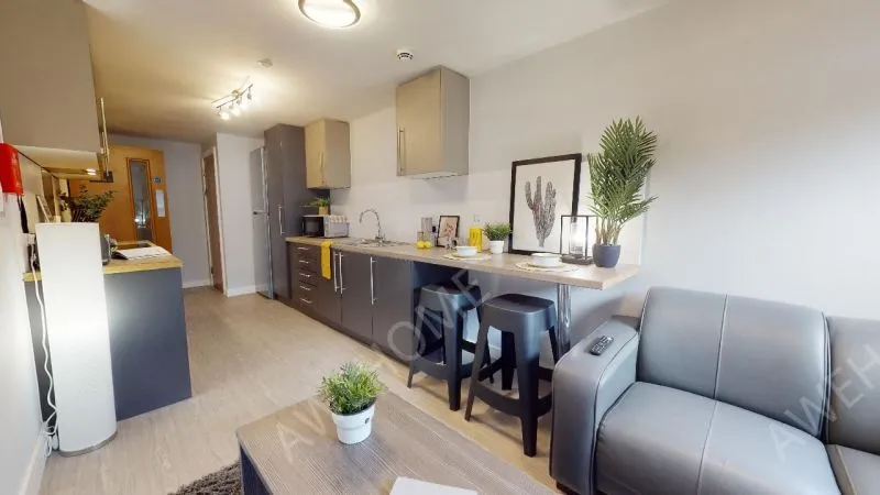 謝菲爾德租房iQ Steel