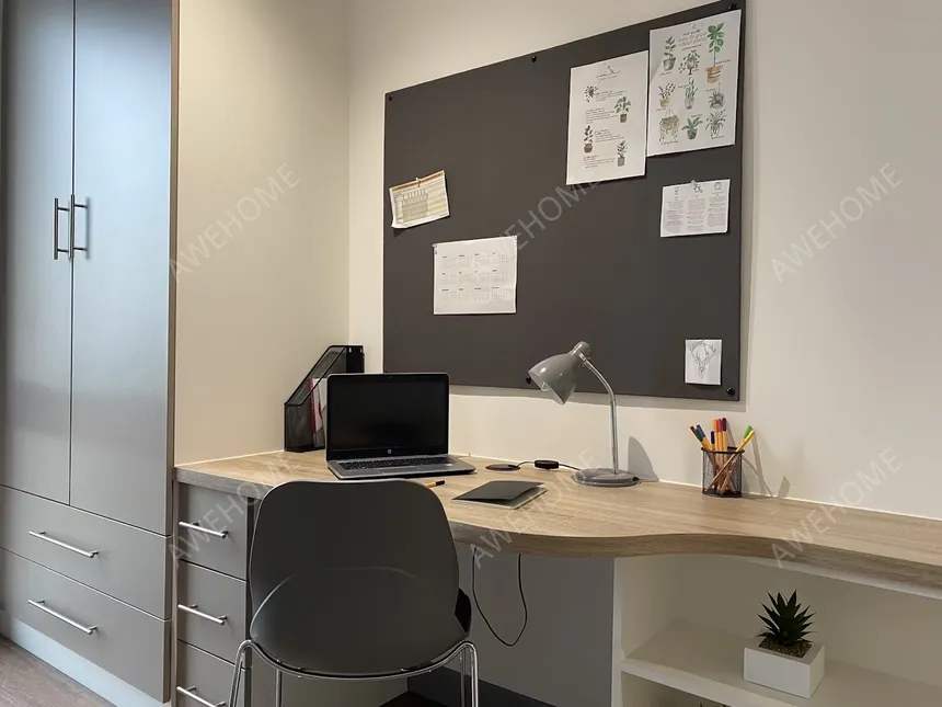 貝爾法斯特租房Great Patrick Street