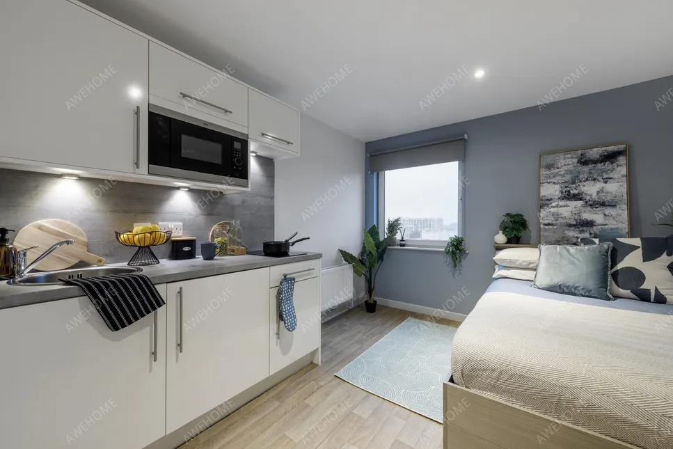 紐卡斯爾租房The Bridge