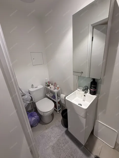 BrisbaneSingle Apartment Rentals[Single Apartment]Scape Merivale 