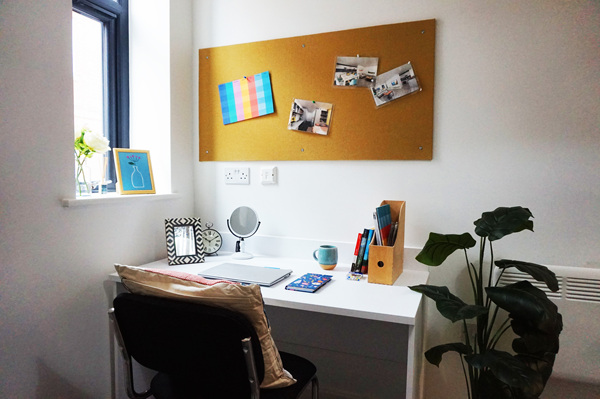 Swansea student accommodation near top universities,Average rent for student in Swansea
