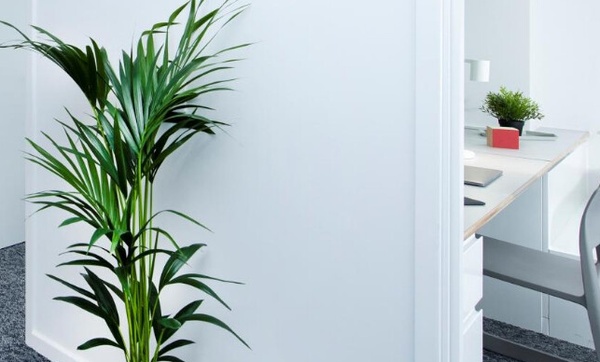 Understanding London's public transport for student areas,Best priced student housing in London