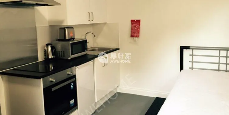 萊斯特租房Regent Road