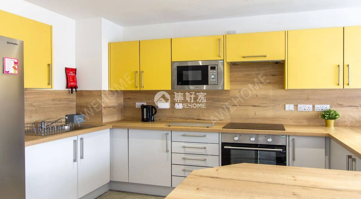 萊斯特租房Dover Street Apartment