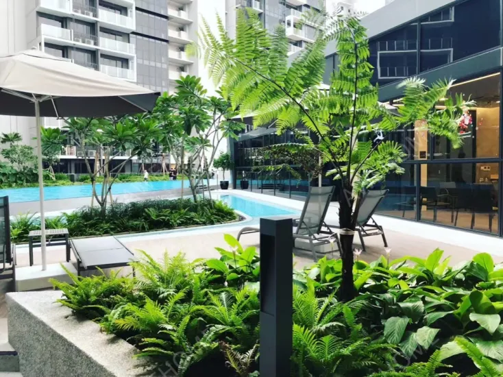 新加坡租房全岛有房 大主人房 阳台房 普通房 单间