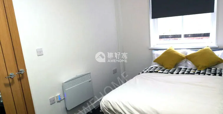 萊斯特租房Regent Road