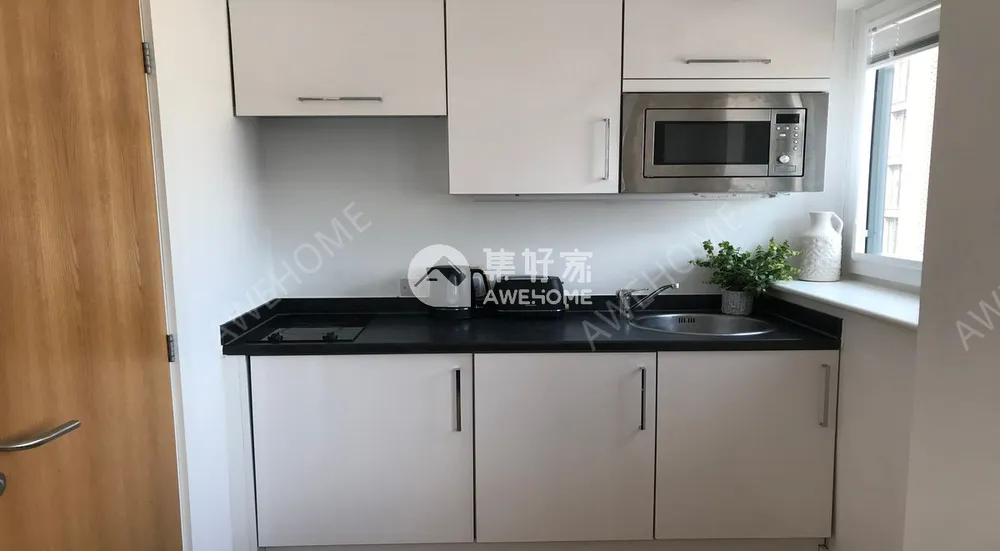 紐卡斯爾租房Keele House