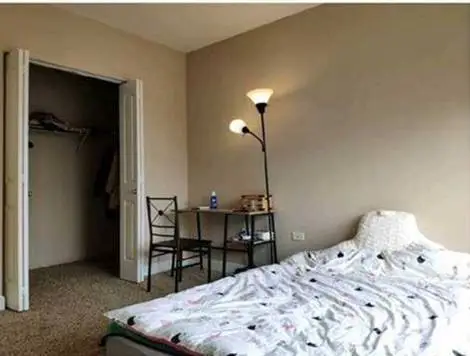 芝加哥租房Evanston 415 premier apartment 2b2b一卧室出租 即日起到8月31日