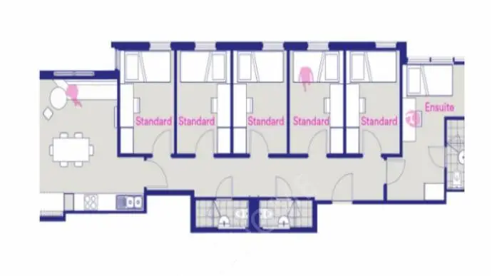 布里斯班租房Student One 高端学生公寓 Elizabeth Street studio 单间出租