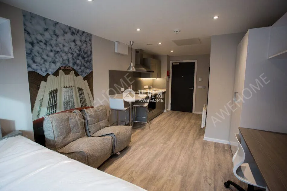 萊斯特租房De Monfort Mews