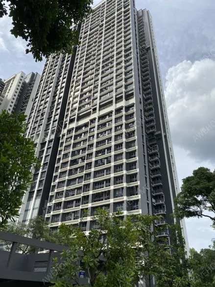 新加坡周租房