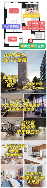 纽约租房近tandon BK高层客厅长期转租11月起