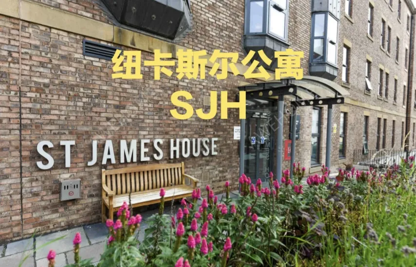 纽卡斯尔租房St James house 三楼loft便宜转租