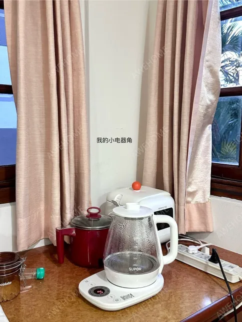 新加坡个人房屋租房[个人房屋]高文Kovan地铁站排屋超大单人间加小阁楼出租 随时入住