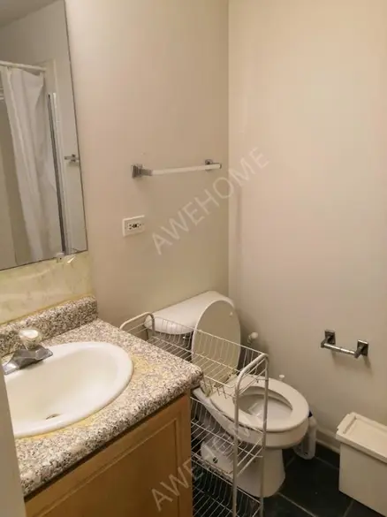 芝加哥留学租房