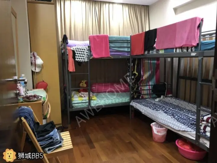 新加坡租房中巴鲁大牌128现有两个男一个女服务业可以报本屋地址