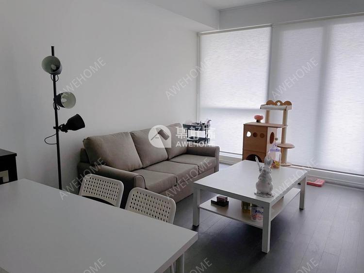 急需转租可转租家具全新condo