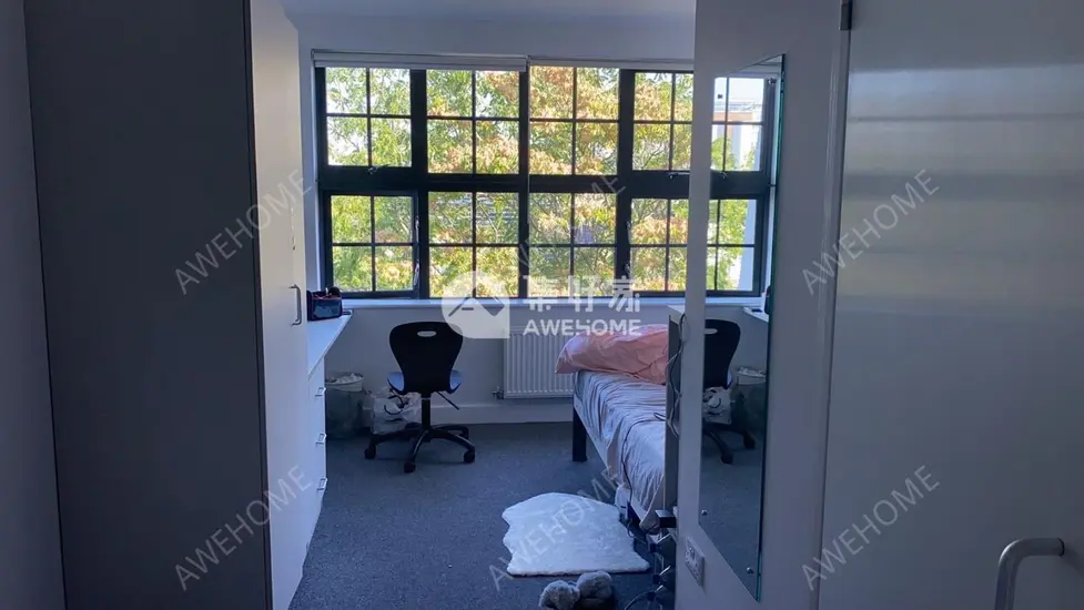 伦敦租房金匠学生公寓 Camberwell En suite