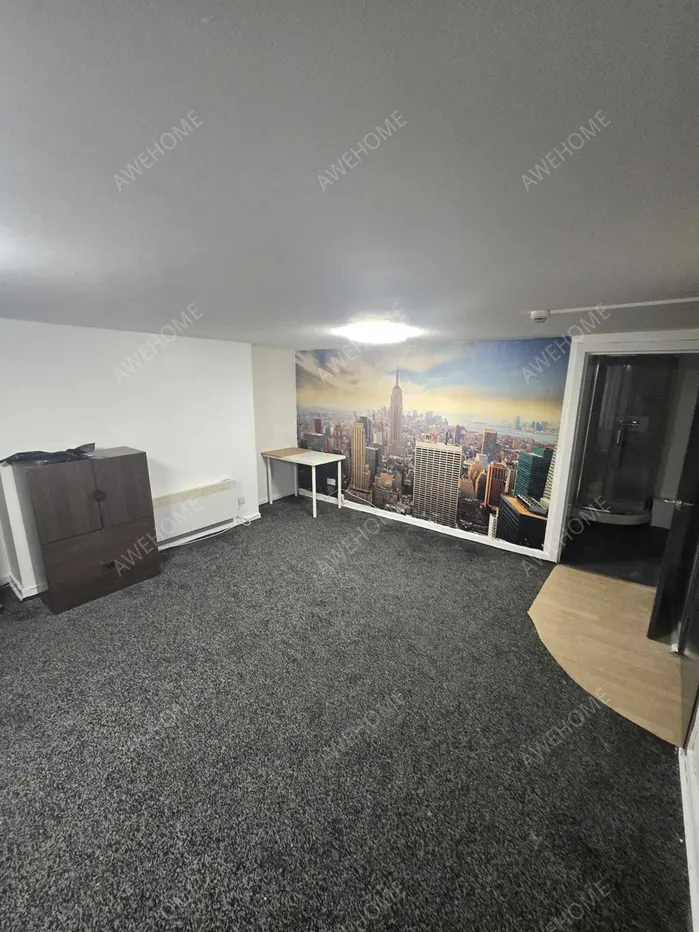 利兹租房Woodsley Road