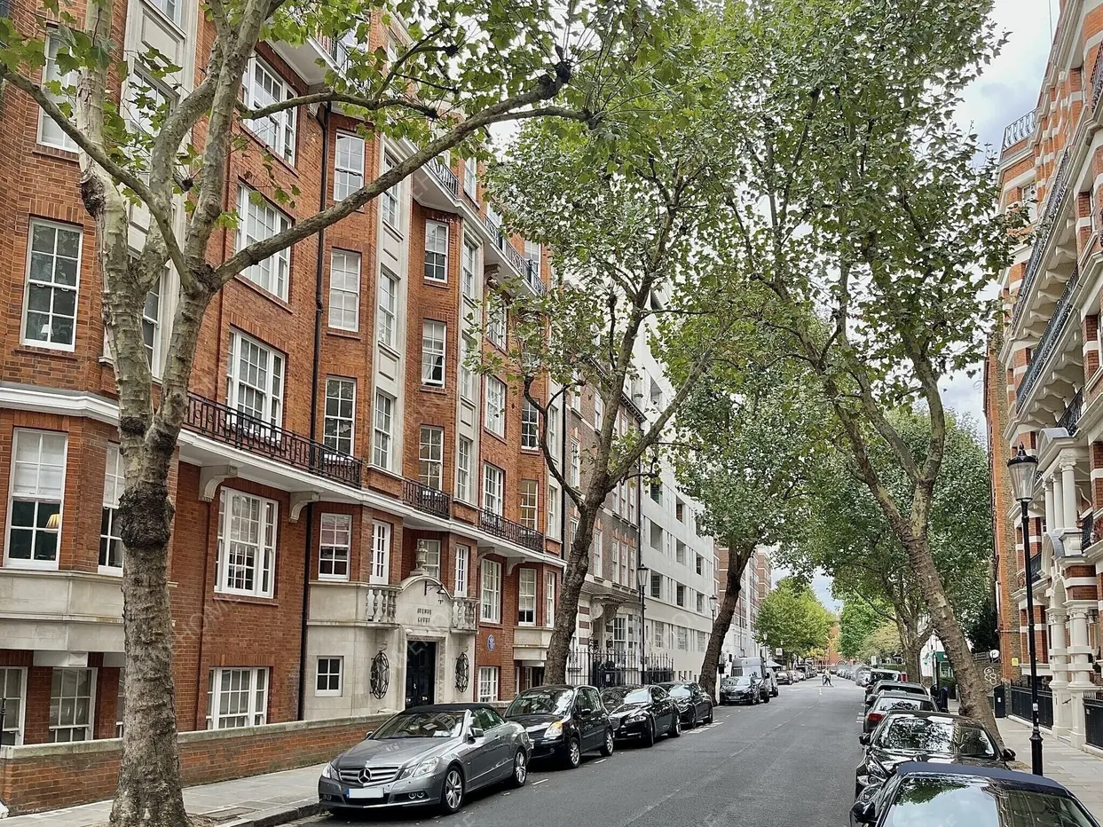 倫敦租房Draycott Avenue