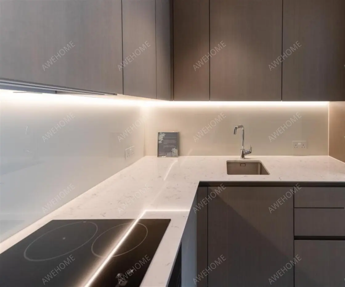 伦敦租房Millbank