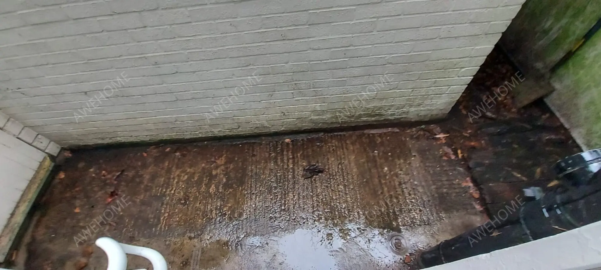 倫敦租房Brondesbury Park