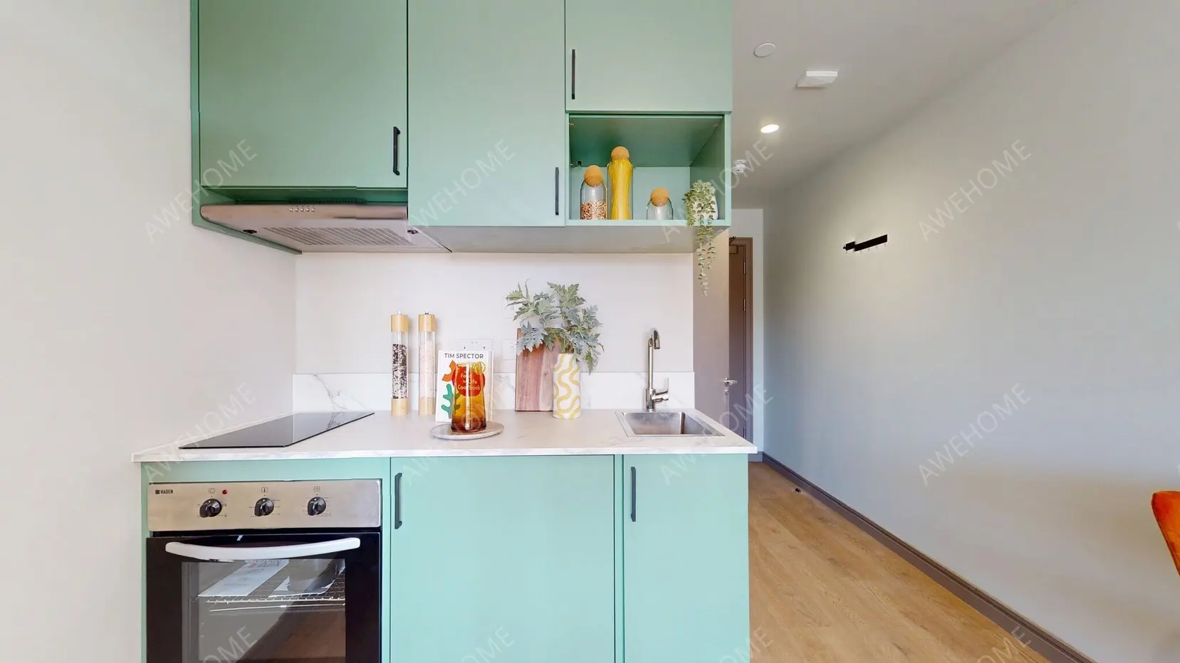 LondonSingle Apartment Rentals[Single Apartment]Victoria Road