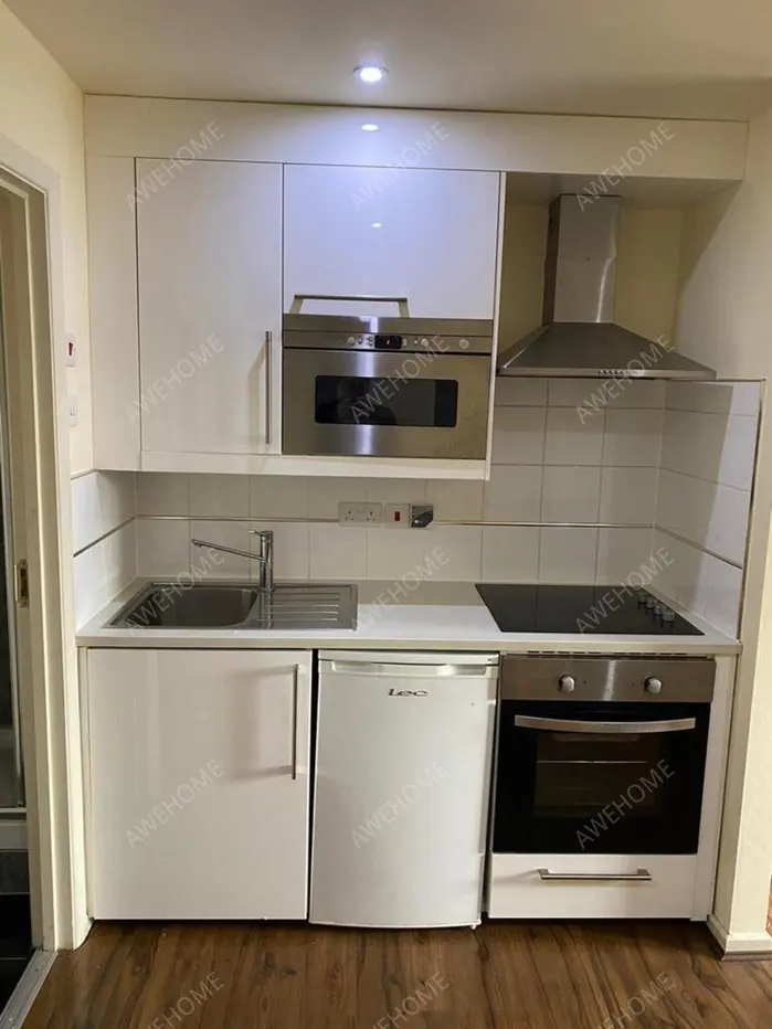 LondonSingle Apartment Rentals[Single Apartment]Balmoral Road