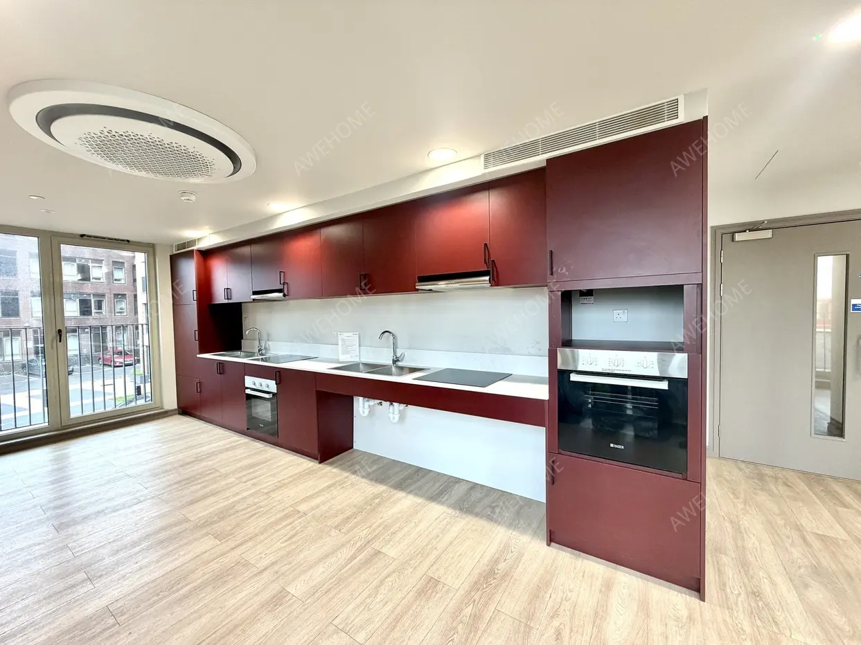LondonSingle Apartment Rentals[Single Apartment]Victoria Road