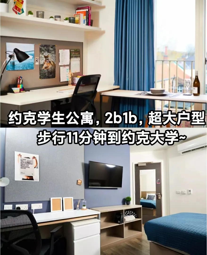 约克学生公寓，2b1b，42平，步行11分钟直达