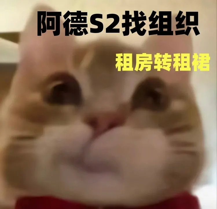 阿德s2找组织！！！！！