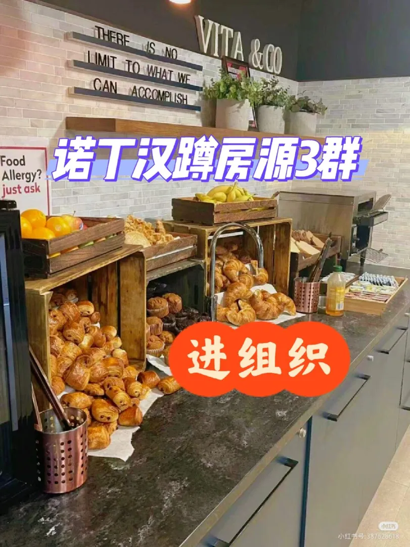 早餐自助，河边漫步，进学生公寓组织