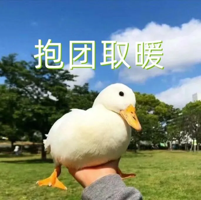 诺丁汉租房#诺丁汉留学#诺丁汉学生公寓