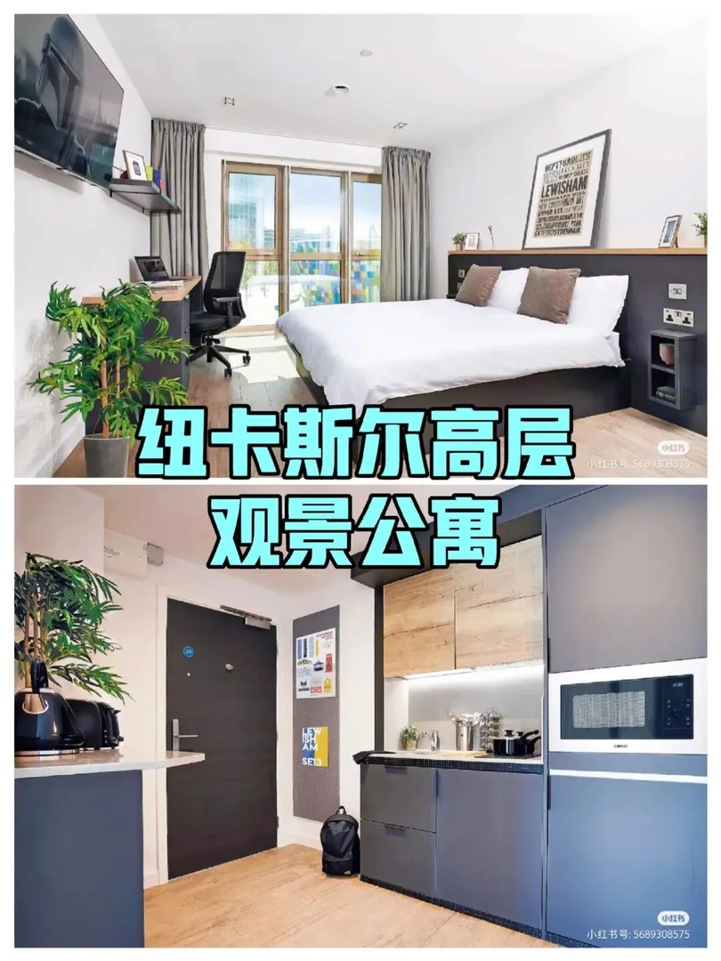 这谁顶得住啊？纽卡斯尔高层观景学生公寓