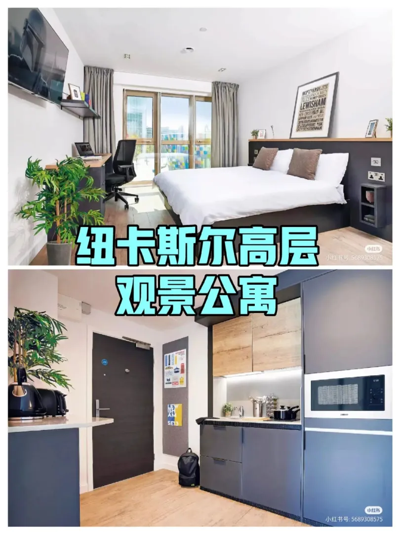 这谁顶得住啊？纽卡斯尔高层观景学生公寓