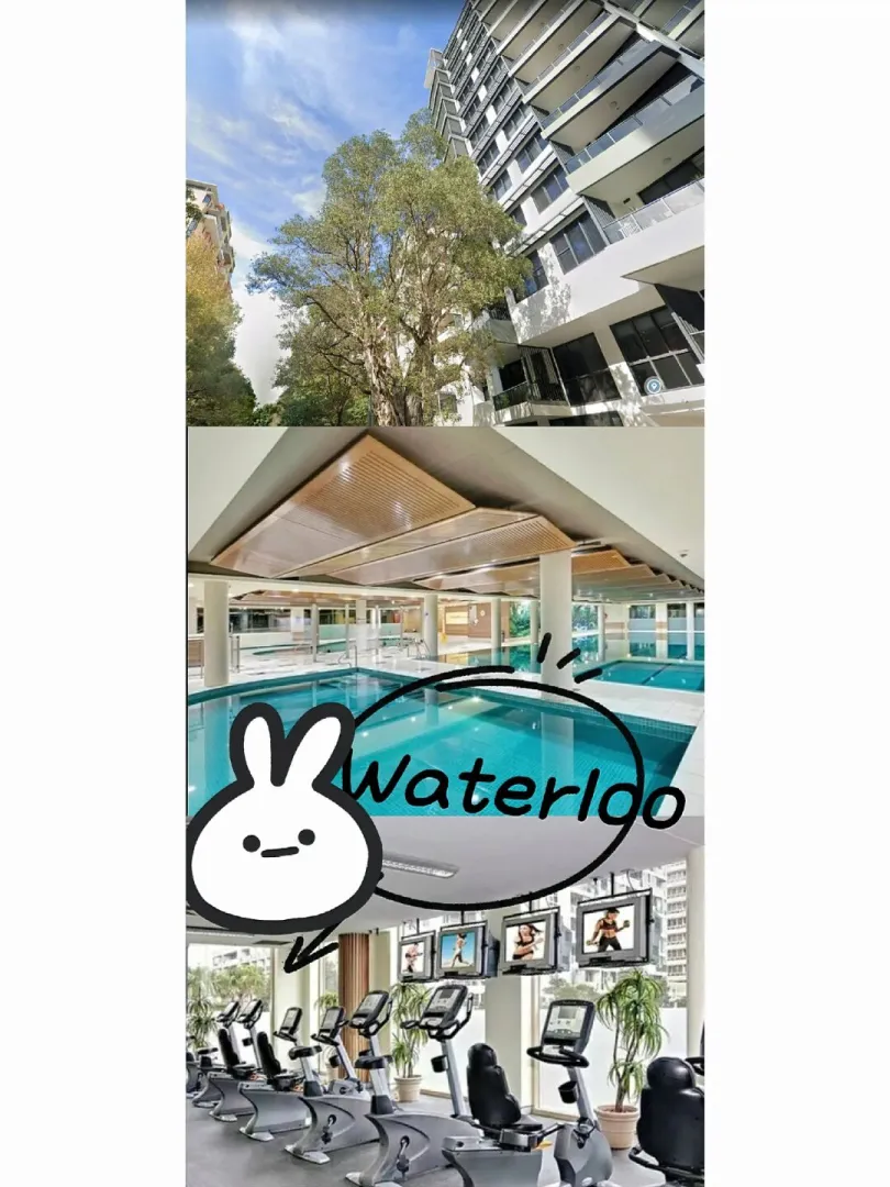 悉尼大学租房#Waterloo租房#悉尼留学生租房#悉尼Waterloo租房#悉尼zetland租房