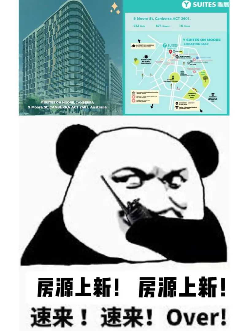 堪培拉y suite🔥这个新楼真的很香