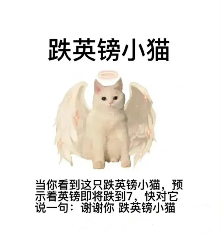 感觉我才是真正的跌英镑小猫 每次买完就跌